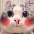 ͷ��