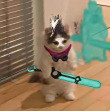 ͷ