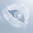 ͷ