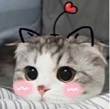 ͷ