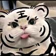 ͷ