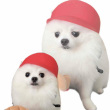 ͷ��