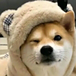 ͷ