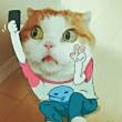 ͷ