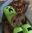 ͷ��