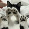 ͷ��