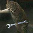 ͷ