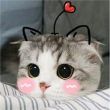 ͷ��