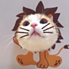 ͷ