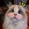 ͷ