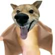 ͷ