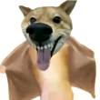 ͷ