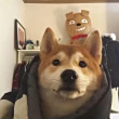 ͷ