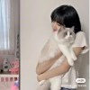 猫三岁姐姐