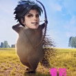 ͷ
