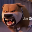 ͷ��