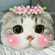 ͷ