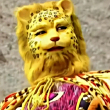 ͷ