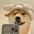 ͷ��