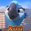 Jewel珠儿珠儿