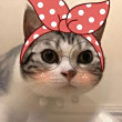 ͷ