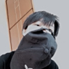 ͷ