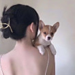 ͷ