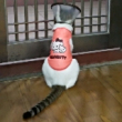 ͷ