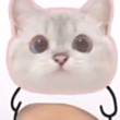 ͷ