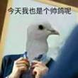 ͷ