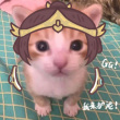 ͷ��
