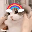 ͷ