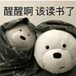 橙七七呀