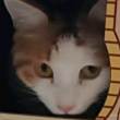 ͷ