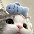 ͷ��
