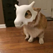 ͷ