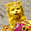 ͷ��