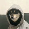 ͷ