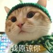 ͷ��