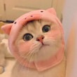 ͷ