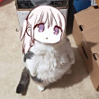 ͷ