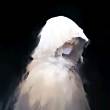 ͷ