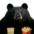 ͷ��