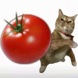 ͷ��