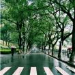 滨海十八度