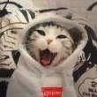 ͷ��