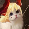 ͷ��
