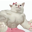 ͷ