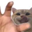 ͷ