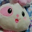 ͷ